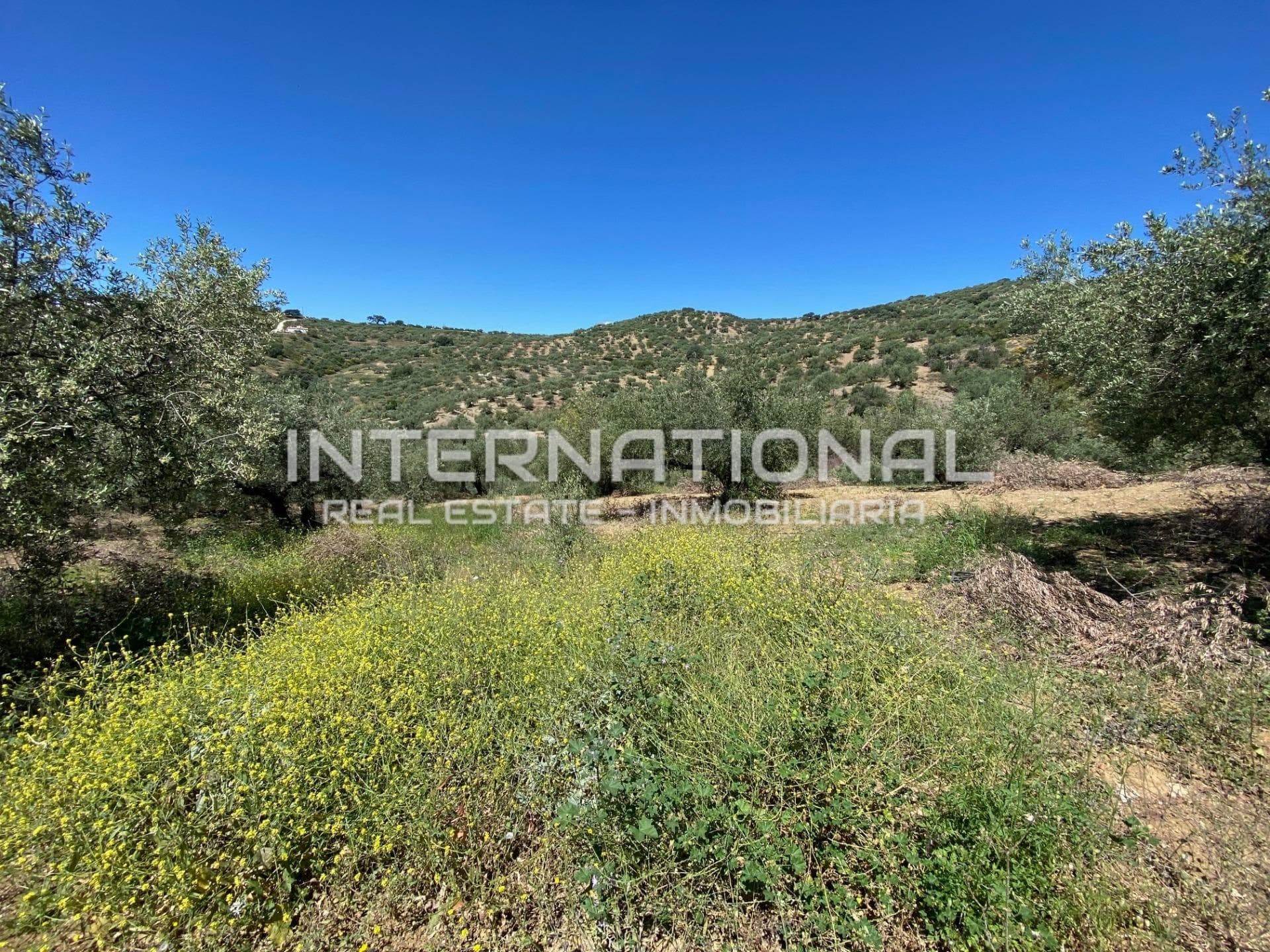 2 plots for 2 cottages